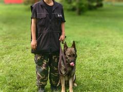 -北京京卫宠物寄养训练中心