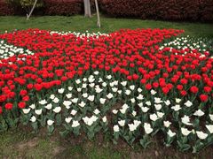 iphone_upload_pic-上海鲜花港