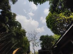 -和顺柏联温泉