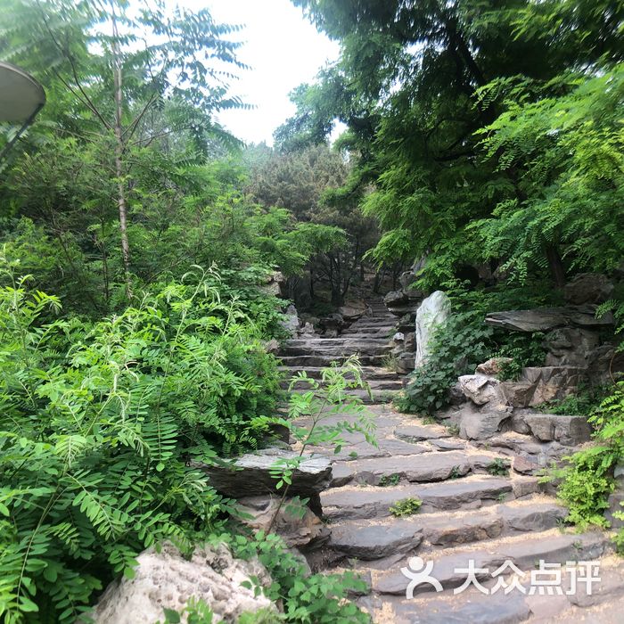 北京东单公园小山头图片