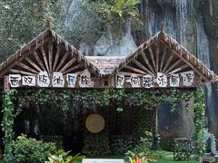 -西双版纳原始森林公园