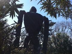 -三鹰之森吉卜力美术馆