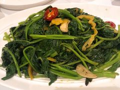 老坛酸菜炝炒红薯尖-眉州东坡(民族园店)
