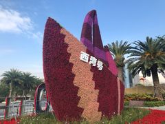 -宝安西湾红树林湿地公园