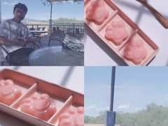 -北京张裕爱斐堡酒庄