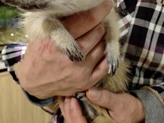 -藦茜花园宠物主题亲子互动体验馆(国顺东路店)