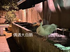 -外婆家(杭州马塍店·杭帮菜名店)