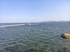 -养马岛旅游度假区