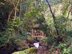 -莫里热带雨林景区