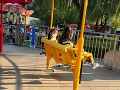 -朝阳公园游乐园