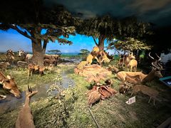 -国家自然博物馆