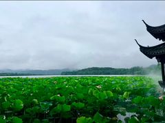 -杭州少年儿童公园