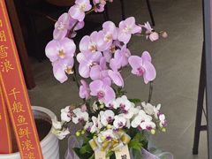-莲花国际广场