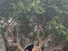 -香港海洋公园