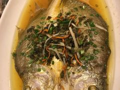 -常州逸高酒店-中餐厅