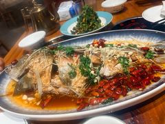 崂山水库鱼-崂山水果园农家宴(泉水鸡店)