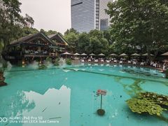-静安公园(静安寺街道)