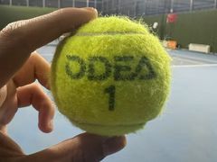 -齐动力网球(六里桥威尼斯基地)