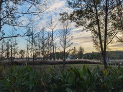 -佛手湖郊野公园