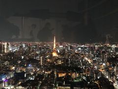-六本木新城展望台(东京城市景观)