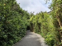 -华侨城湿地公园