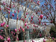 -中关村生命科学园