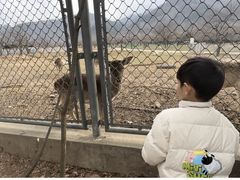 -西安秦岭野生动物园