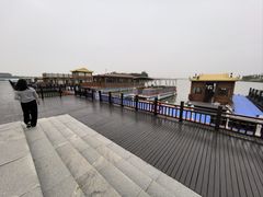-金沙湖旅游度假区