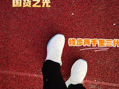 -澹台湖公园