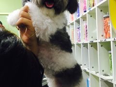 -酷迪(巴沟华联店)