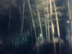 -江南天池高山汤泉城