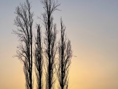 -党河风情线国家水利风景区