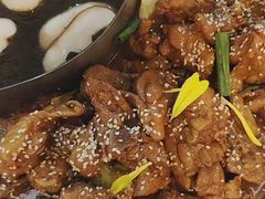 -成老灶火锅鸡(平山店)