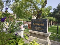 -文瀛公园