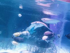 -沈阳海洋探索中心