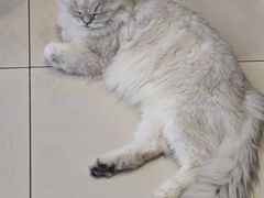 -怪兽屋·羊驼·猫咖·狗咖(俊华广场店)