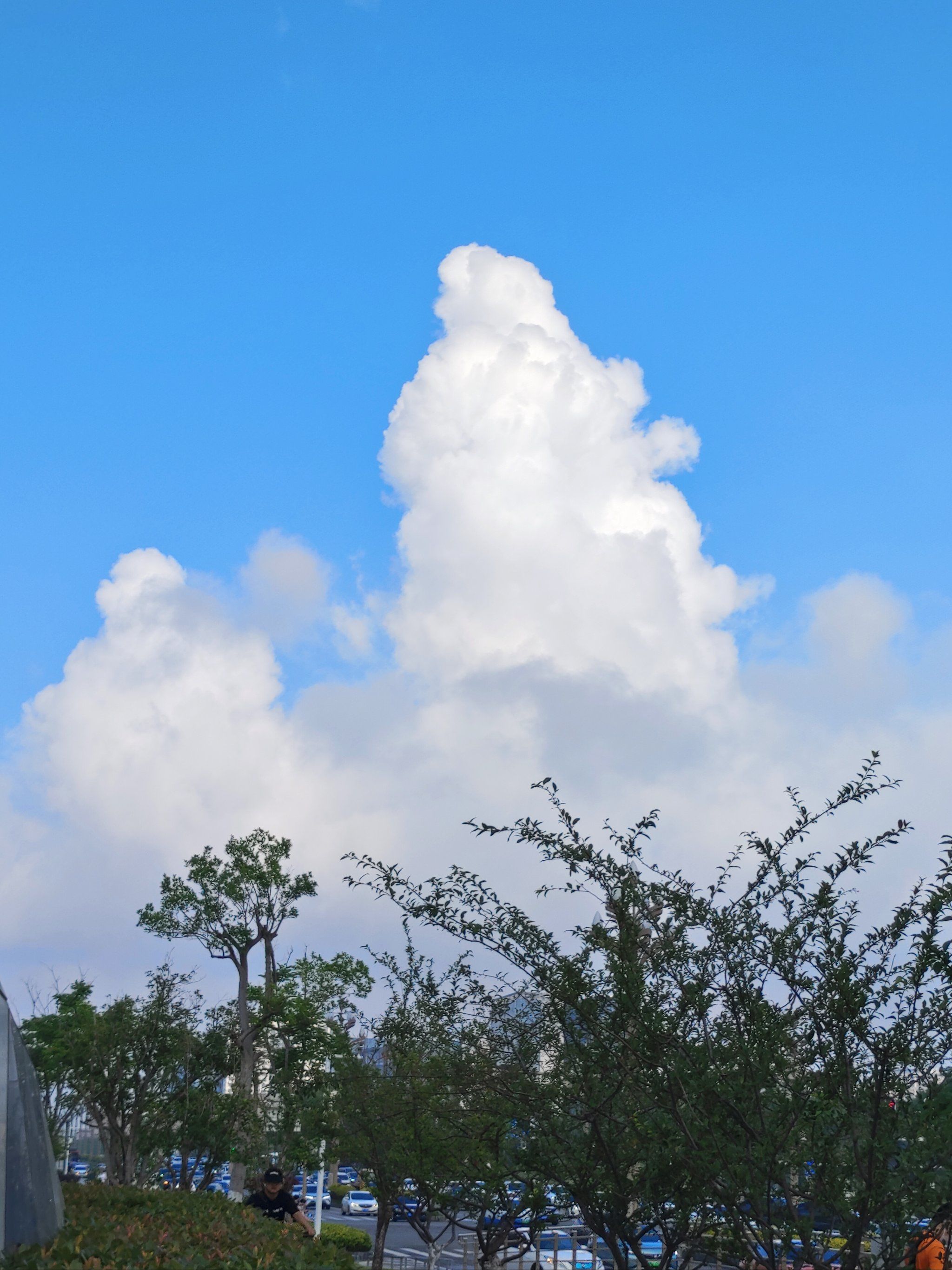 今天的云朵格外好看