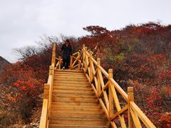 -水峪民俗村