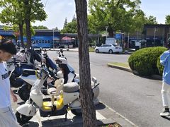 -上海月湖雕塑公园