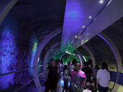 -中国西峡恐龙遗迹园