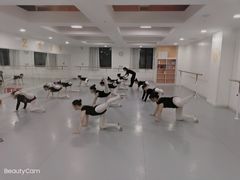 -西安小天鹅艺术团(金花路校区)