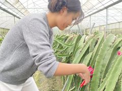 -洪湖家庭农场·团建·露营·会议