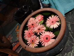 -琦品高端美容SPA私佳美场