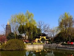 -红梅公园