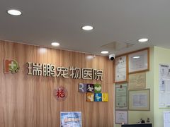 -瑞鹏宠物医院腔镜微创中心·骨科·牙科(新江湾城政芳路店)