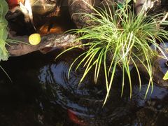 -北马山庄植趣咖啡