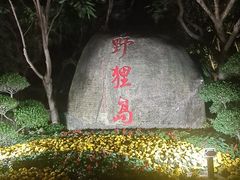 -野狸岛