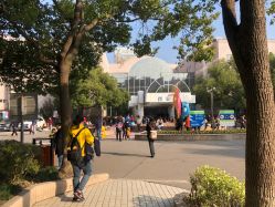 -上海交通大学医学院附属上海儿童医学中心(陆家嘴总院区)