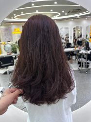 -MOVAN  HAIR莫凡匠人发型屋