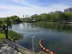 -新江湾城公园